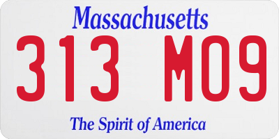 MA license plate 313MO9
