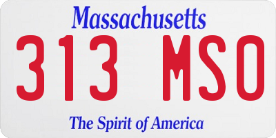 MA license plate 313MS0