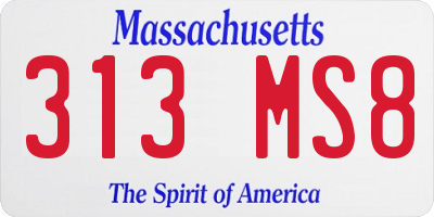MA license plate 313MS8