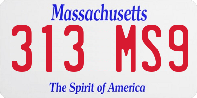 MA license plate 313MS9