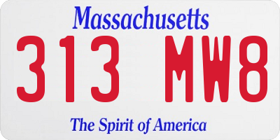 MA license plate 313MW8