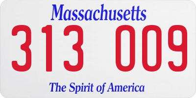 MA license plate 313OO9