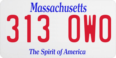 MA license plate 313OW0
