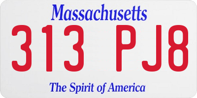 MA license plate 313PJ8