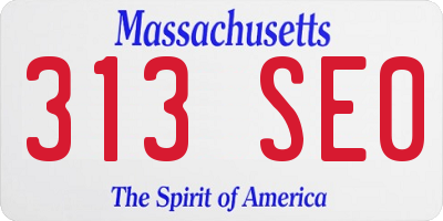 MA license plate 313SE0