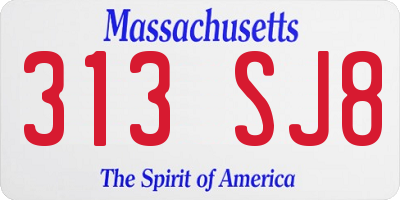 MA license plate 313SJ8