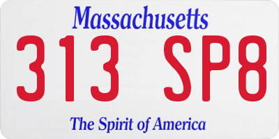 MA license plate 313SP8