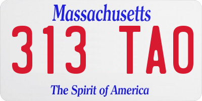 MA license plate 313TA0