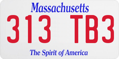 MA license plate 313TB3