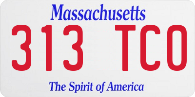 MA license plate 313TC0