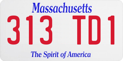 MA license plate 313TD1