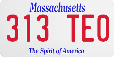 MA license plate 313TE0