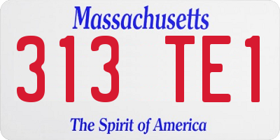MA license plate 313TE1