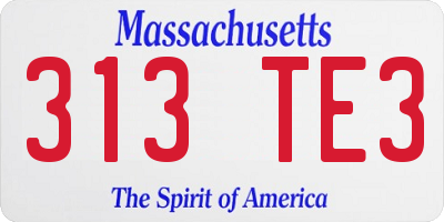 MA license plate 313TE3