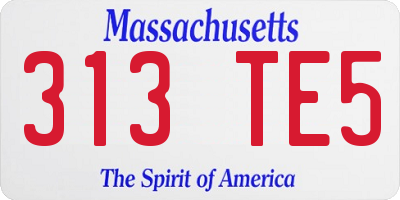 MA license plate 313TE5