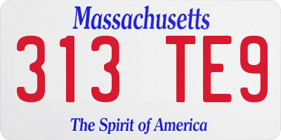 MA license plate 313TE9