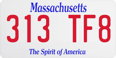 MA license plate 313TF8