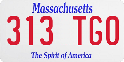 MA license plate 313TG0