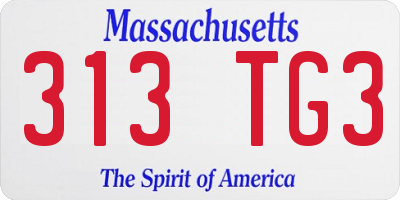 MA license plate 313TG3
