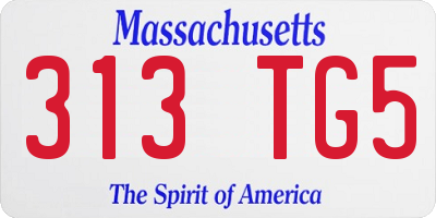 MA license plate 313TG5
