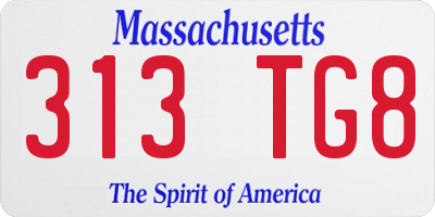 MA license plate 313TG8