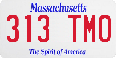MA license plate 313TM0