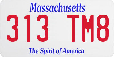 MA license plate 313TM8