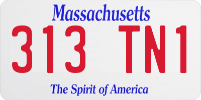 MA license plate 313TN1