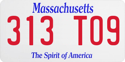 MA license plate 313TO9
