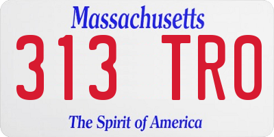 MA license plate 313TR0