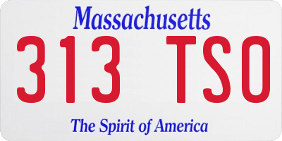 MA license plate 313TS0