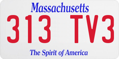 MA license plate 313TV3