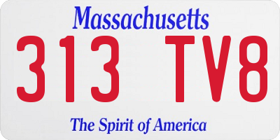 MA license plate 313TV8