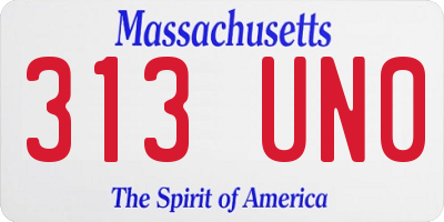 MA license plate 313UN0
