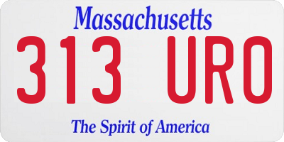 MA license plate 313UR0
