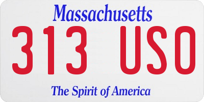 MA license plate 313US0