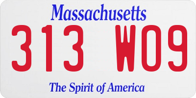 MA license plate 313WO9
