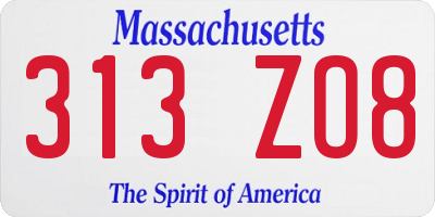 MA license plate 313ZO8