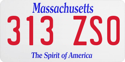 MA license plate 313ZS0