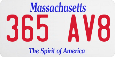 MA license plate 365AV8