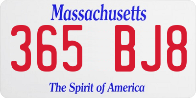 MA license plate 365BJ8
