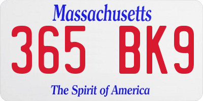 MA license plate 365BK9