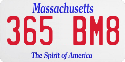 MA license plate 365BM8