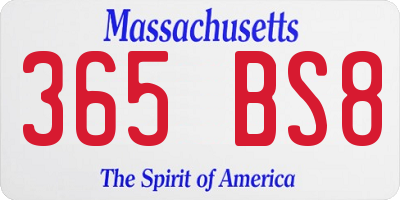 MA license plate 365BS8