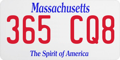 MA license plate 365CQ8