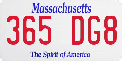 MA license plate 365DG8