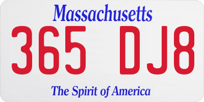 MA license plate 365DJ8