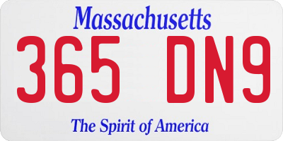 MA license plate 365DN9