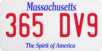 MA license plate 365DV9