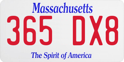 MA license plate 365DX8
